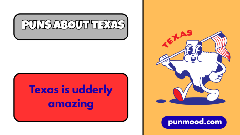 Puns About Texas
