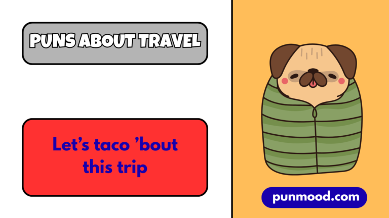 puns about travel