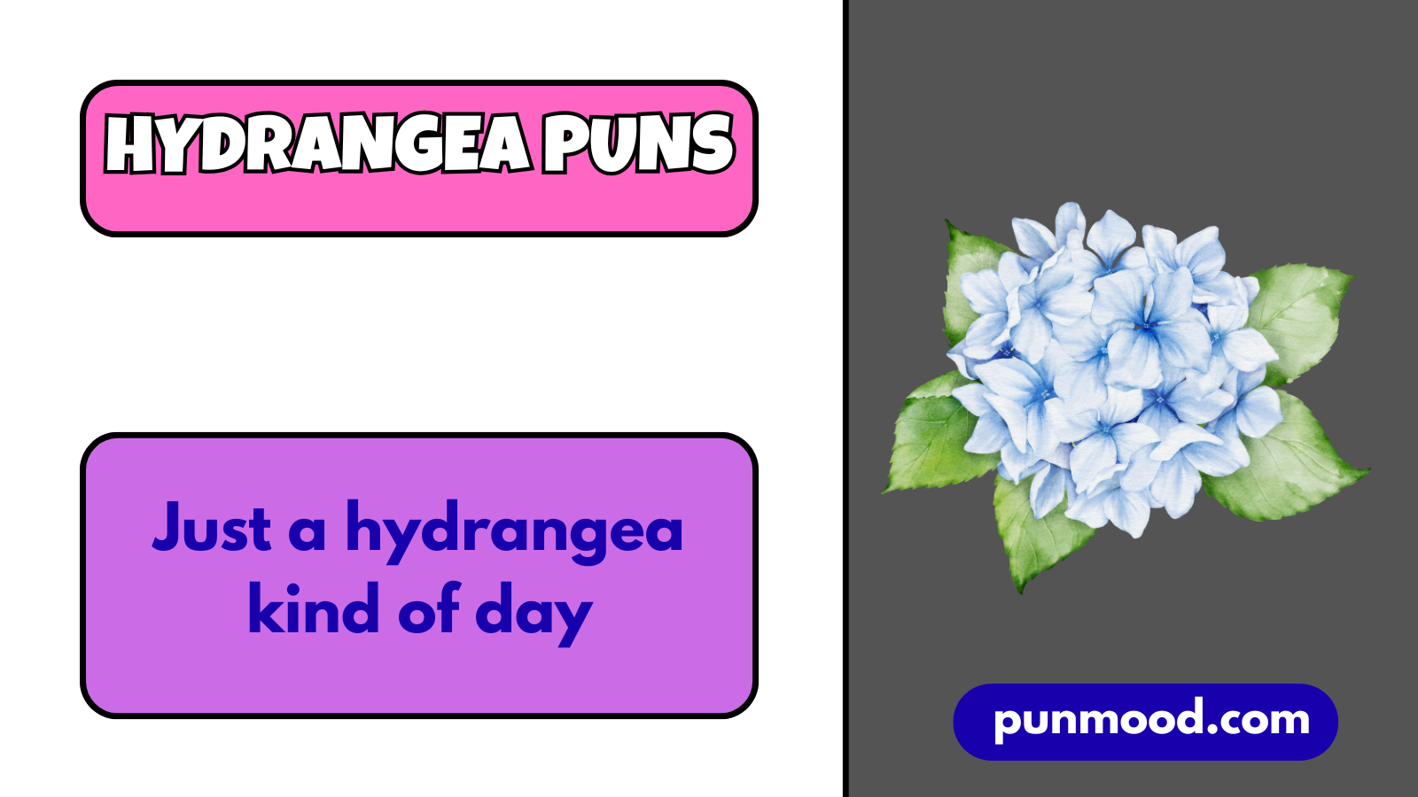 Hydrangea Puns